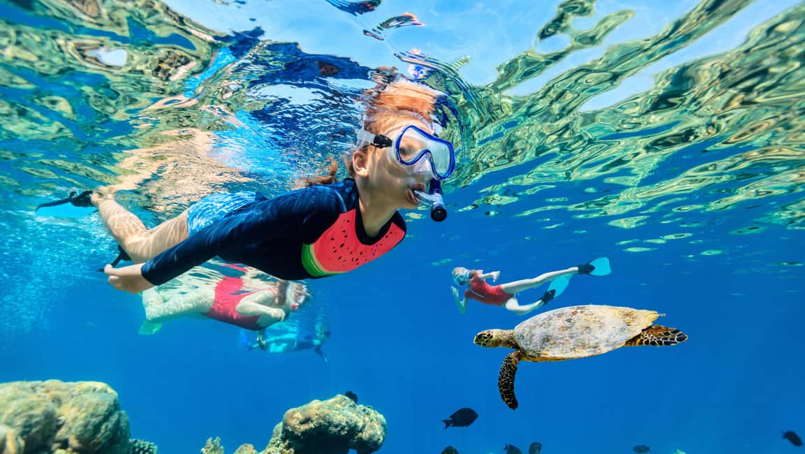 Waikiki: Snorkeling & Ocean Playground Experience - Key highlights you’ll feel the moment you board