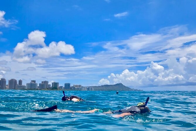 Waikiki Snorkeling & Ocean Waterpark Adventure from Oahu - Key Highlights Worth Prioritizing on This Waikiki Cruise