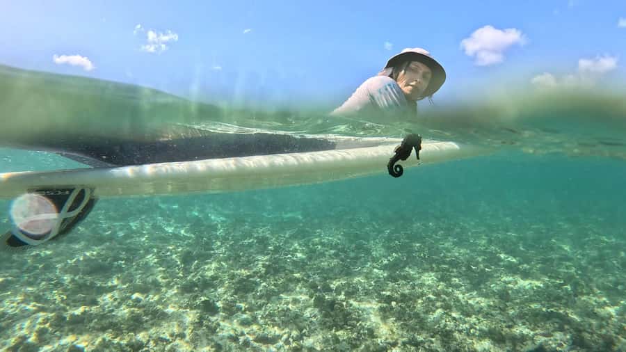 Waikiki: Surf Lessons Easy 60 min classes no crowds! - Waikiki surf lessons at Ala Wai: quick, coached, and built for wave time