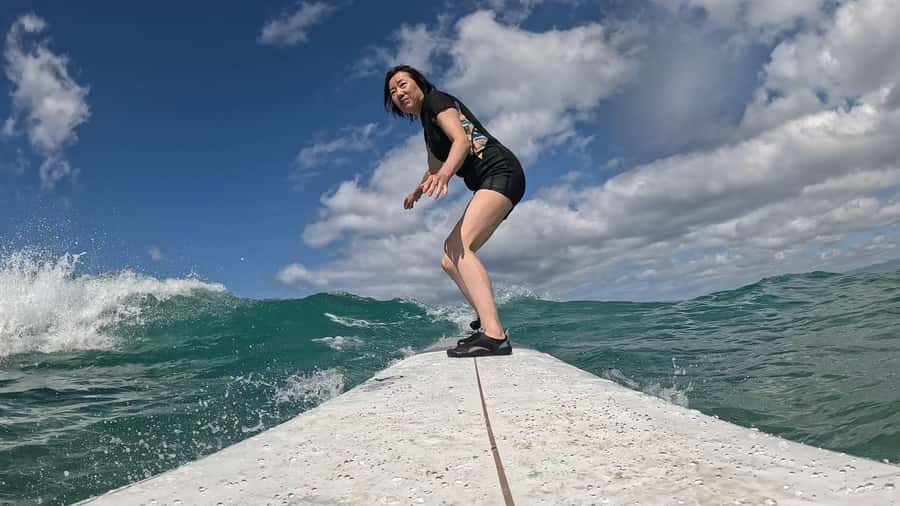 Waikiki: Surf Lessons Easy 60 min classes no crowds! - Marine life in Waikiki: sea turtles, monk seals, dolphins, maybe whales