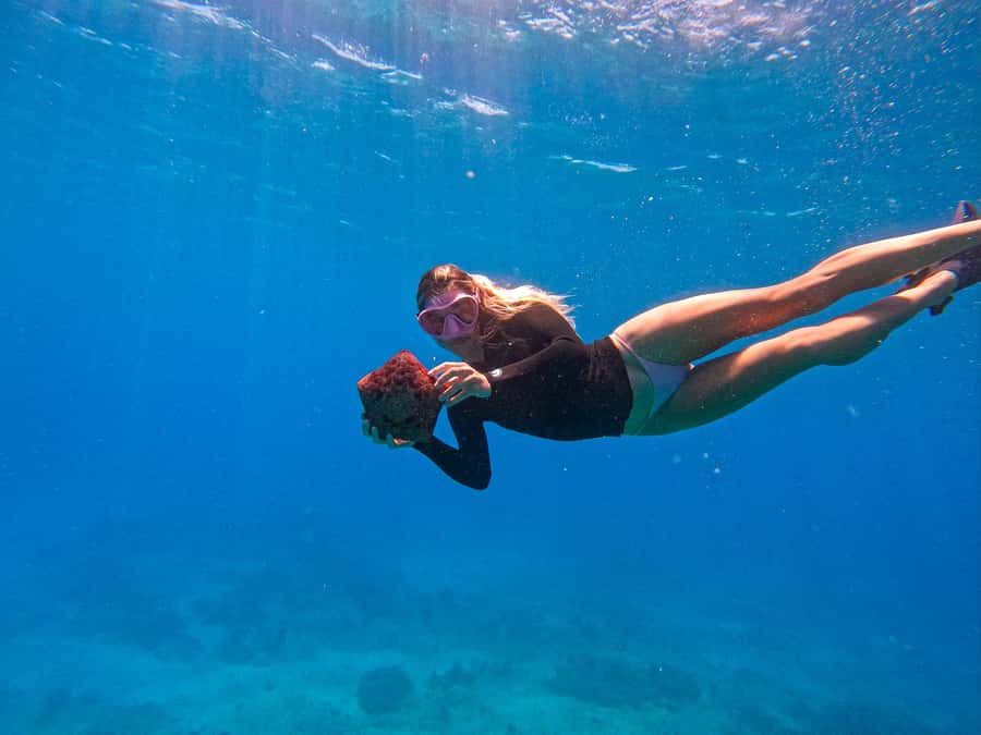 Waikiki: Turtle Canyon Snorkel Tour with Small Group - The snorkel portion: what Turtle Canyon means for your “turtle” chances