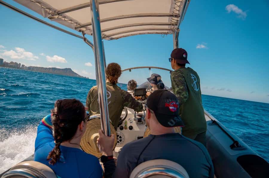 Waikiki: Turtle Canyon Snorkel Tour with Small Group - Wildlife you can actually spot: more than just sea turtles
