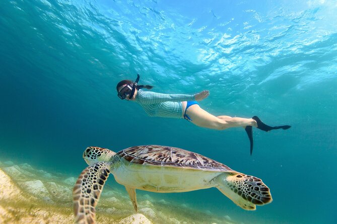 Waikiki Turtle Canyon Snorkeling Adventure - Oceanstar Turtle Canyon: the vibe you’re paying for