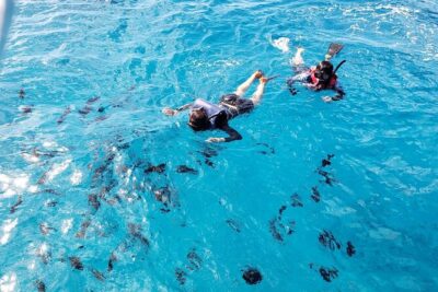 Waikiki Turtle Canyon Snorkeling Adventure - Getting on the water: Waikiki Beach first stop
