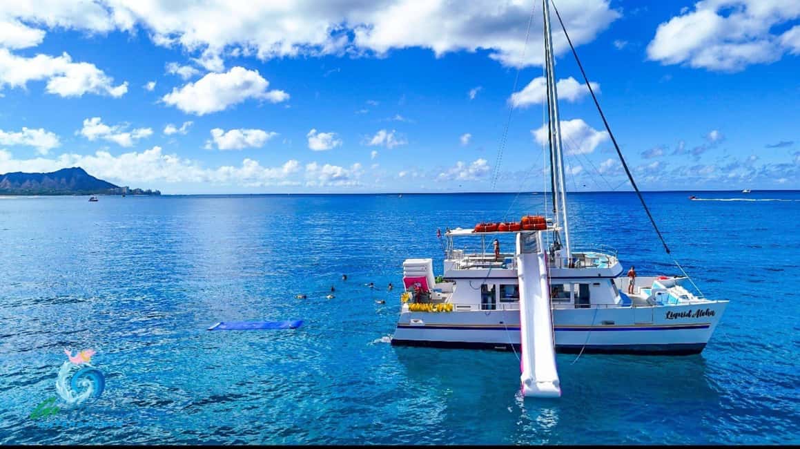 Waikiki Turtle Snorkel Adventure - Key things to know before you book