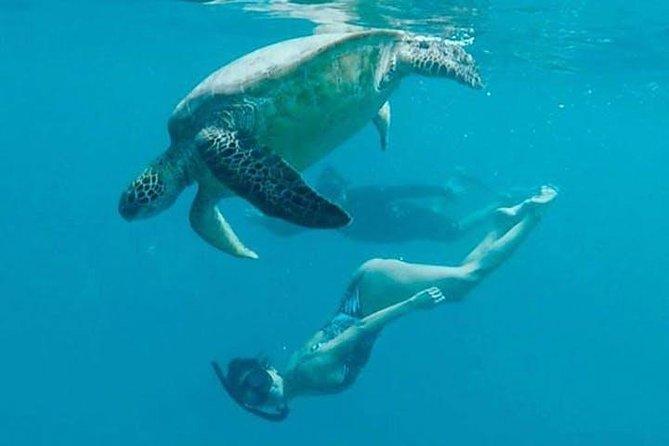 Waikiki Turtle Snorkel and Sail on Hawea Catamaran - From Duke Paoa Kahanamoku to the Hawea: Getting Started Right