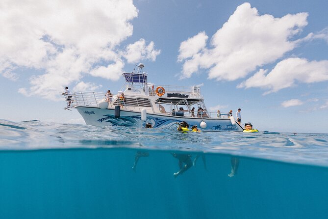 Waikiki Turtle Snorkeling Tour with Complimentary Trolley Ride - Waikiki to Kewalo Basin: the trolley start that sets the tone