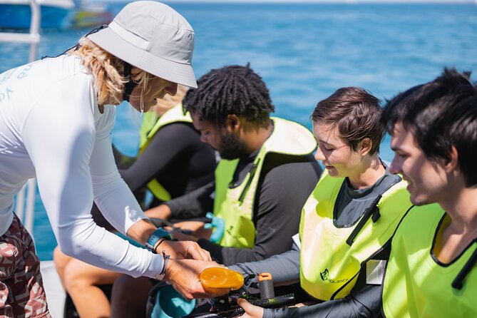 Waikiki Turtle Snorkeling Tour with Complimentary Trolley Ride - Boat comfort, group size, and the realistic pacing