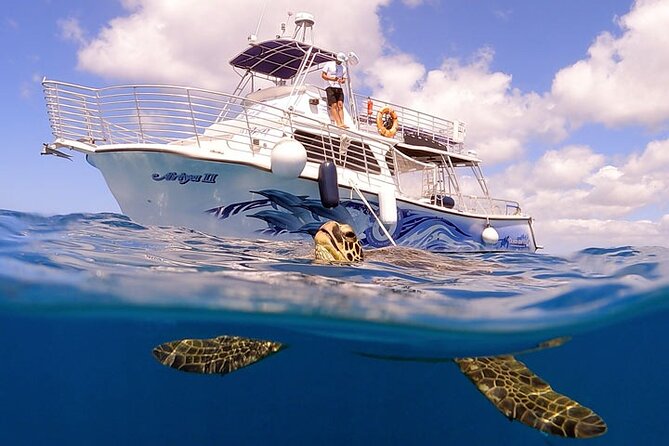 Waikiki Turtle Snorkeling Tour with Complimentary Trolley Ride - Turtle Canyon snorkeling: how the crew keeps it safe and fun