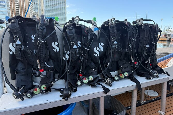 Waikiki Two Tank Guided Scuba Diving Adventure: Certified Diver - Ala Wai Small Boat Harbor: where the day really starts