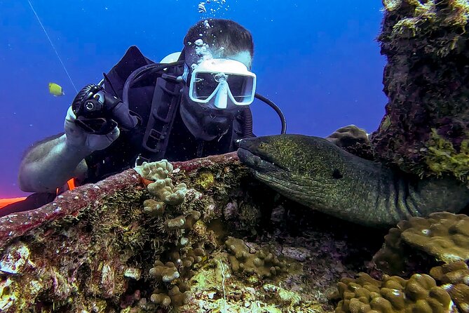 Waikiki Two Tank Guided Scuba Diving Adventure: Certified Diver - Small-group pacing with PADI instructors who guide to your level