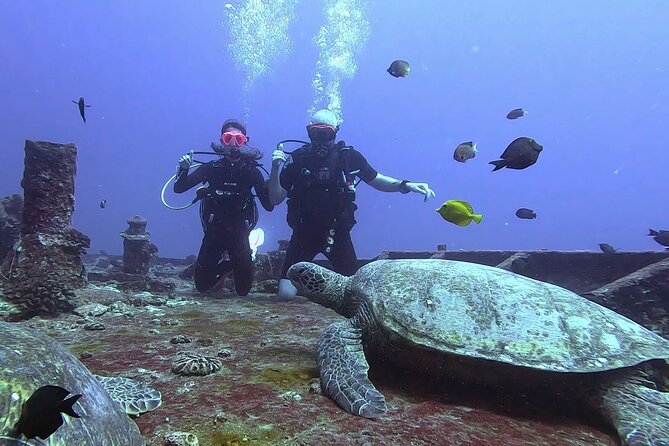 Waikiki Two Tank Guided Scuba Diving Adventure: Certified Diver - What to bring: certification details and wetsuit sizing that matter