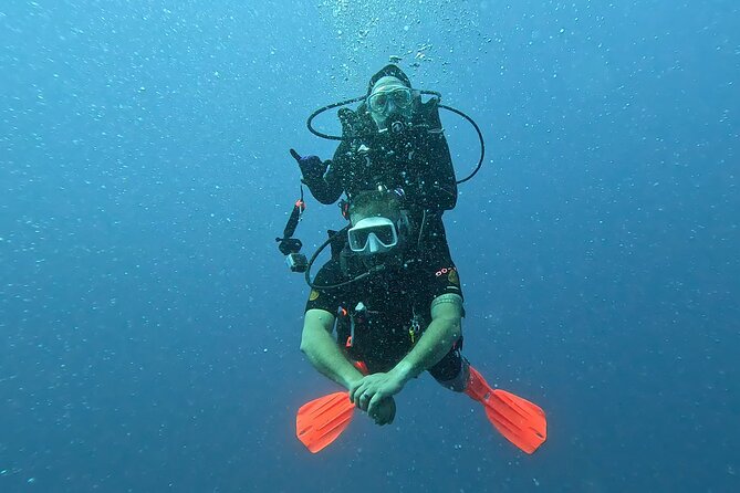 Waikiki Two Tank Guided Scuba Diving Adventure: Certified Diver - Who this scuba trip suits best (and who might pick something else)