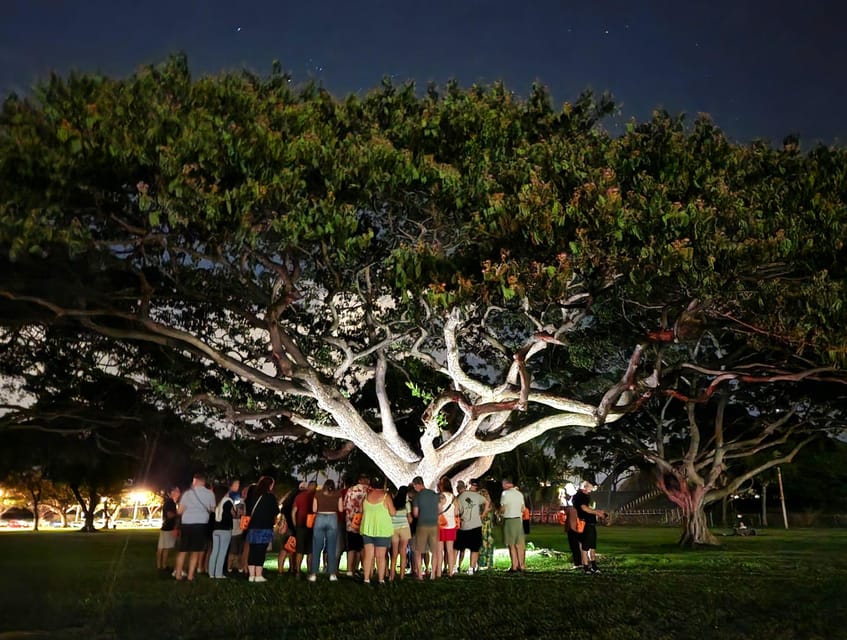 Waikiki: Waikiki Night Marchers Ghostly Walking Tour - The 90-Minute Structure: What the Tour Feels Like in Real Time