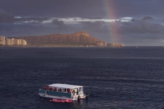 Waikiki Whale Watching Cruise - A Waikiki Whale Moment With Real Scenery Behind It