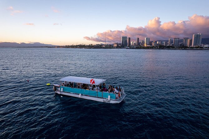 Waikiki Whale Watching Cruise - Tips To Get More From Your Waikiki Scan