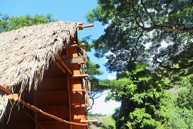 Waimea Valley Waterfall Swim & Dole Plantation Tour with Lunch - Key highlights to know before you go