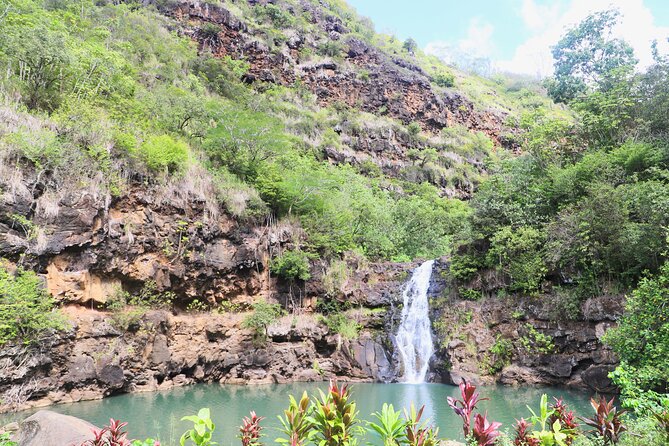 Waimea Valley Waterfall Swim & Dole Plantation Tour with Lunch - Dole Plantation: pineapple history plus snacks (but don’t expect a full day)