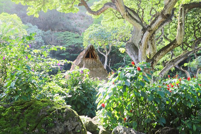 Waimea Valley Waterfall Swim & Dole Plantation Tour with Lunch - Getting there smoothly: pickup times that matter