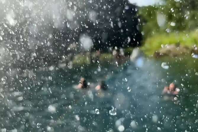 Waimea Valley Waterfall Swim & Dole Plantation Tour with Lunch - Waimea Waterfall swim: the moment you’ll talk about later