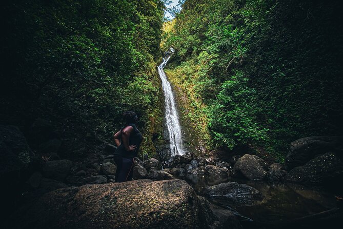 Waterfall Hike in Hawai'i Rainforest Trail - Guide-led pacing and storytelling (and why small groups matter)