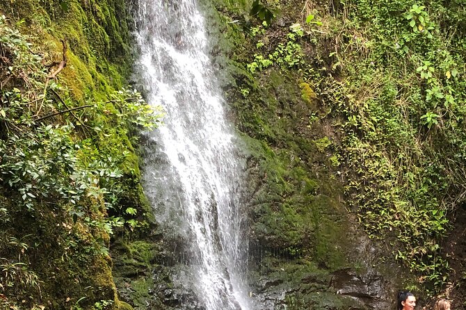 Waterfall Hike , Sightseeing & East Side Beach Day - Key Highlights at a Glance