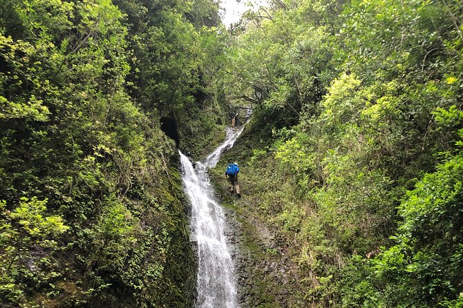 Waterfall Hike , Sightseeing & East Side Beach Day - Waterfall-to-Beach Day on Oahu: The Real Appeal