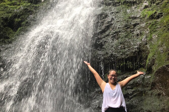 Waterfall Hike , Sightseeing & East Side Beach Day - The Rainforest Hike: What to Expect on the Trail