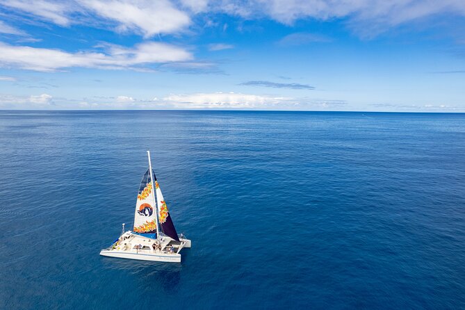 West Oahu Dolphin Watch and Snorkel Sail with Lunch - Coastline Cruise to Makaha and Beyond: The Scenic Stops You’ll Pass