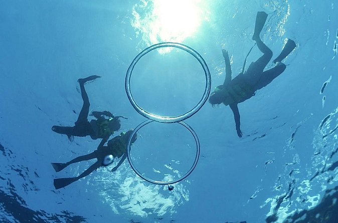 Whale & Dolphin Watching, Turtle Snorkeling - What’s Included (and What You Still Need to Bring)