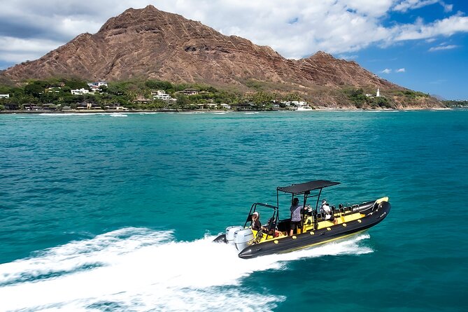 Whale Watching Adventure -Speed Boat & Small Group - From Kewalo Basin to Whale Chances: How the Search Gets Done