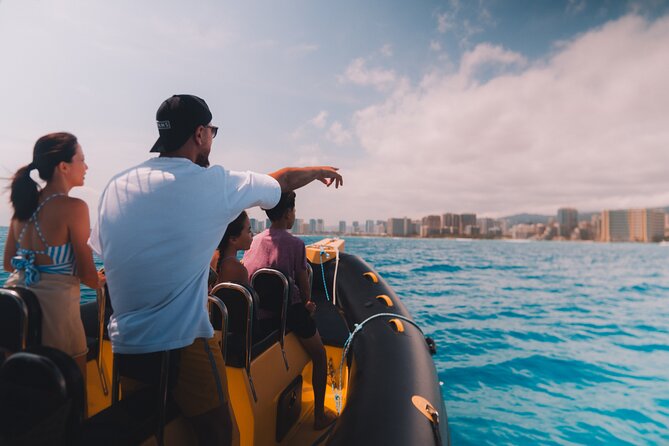 Whale Watching Adventure -Speed Boat & Small Group - Whale Sightings: What You Can Expect (And What You Can’t)