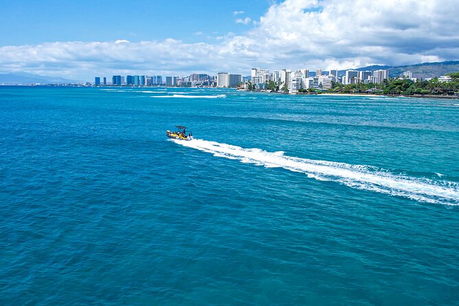 Whale Watching Adventure -Speed Boat & Small Group - Weather Matters: When the Tour Can Change