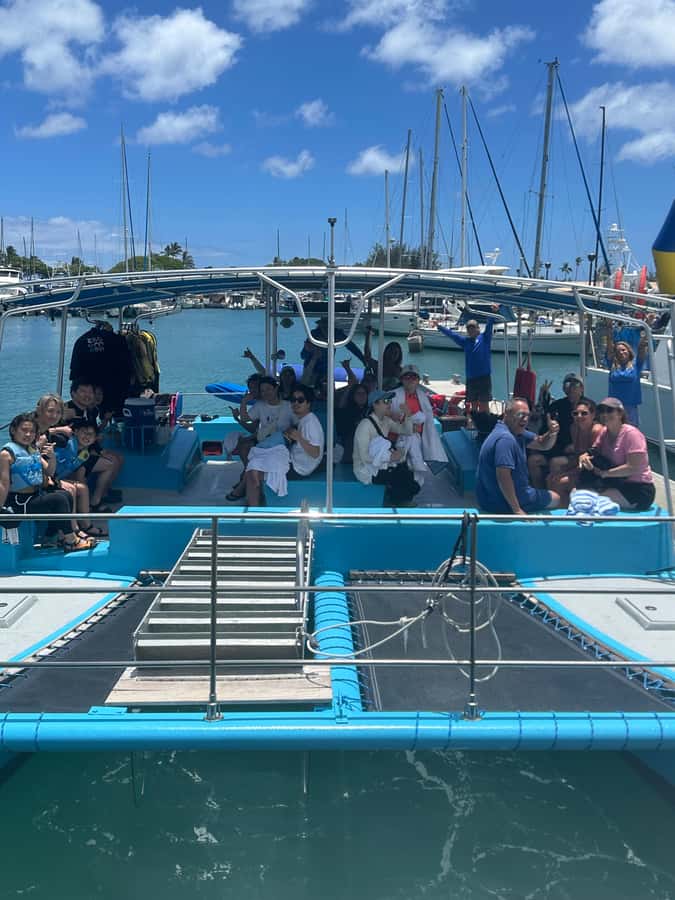 Whale Watching Cruise in Waikiki Oahu - SEE THE HUMPBACKS! - What You’ll See: Humpbacks, Breaches, and the Warm-Water Drama