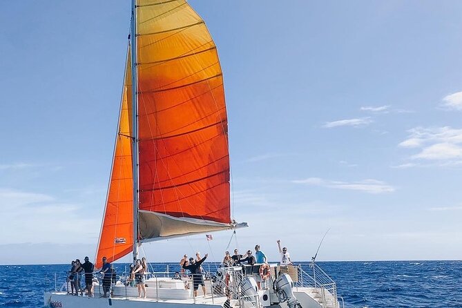 Whale Watching Sail in Honolulu with Open Bar - Whale season timing: when humpbacks are most likely